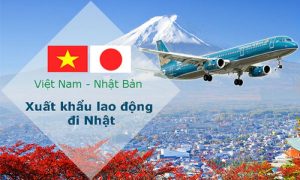 tim-hieu-quy-trinh-di-xuat-khau-lao-dong-nhat-ban-moi-nhat-nam-2022